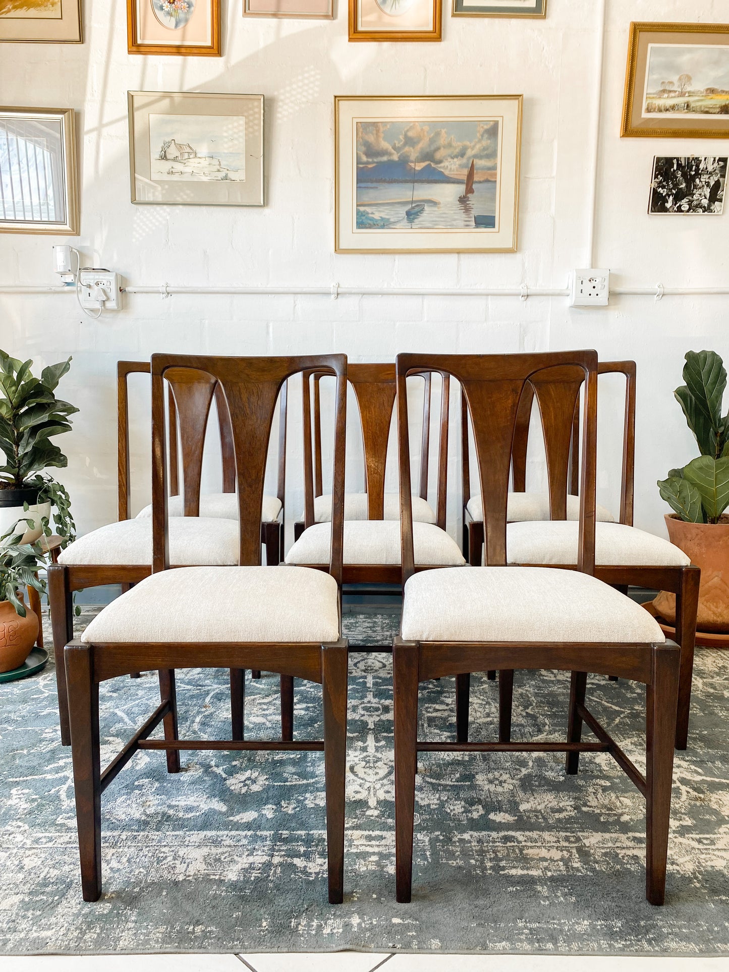 Set of 8 Mid Century Dining Chairs