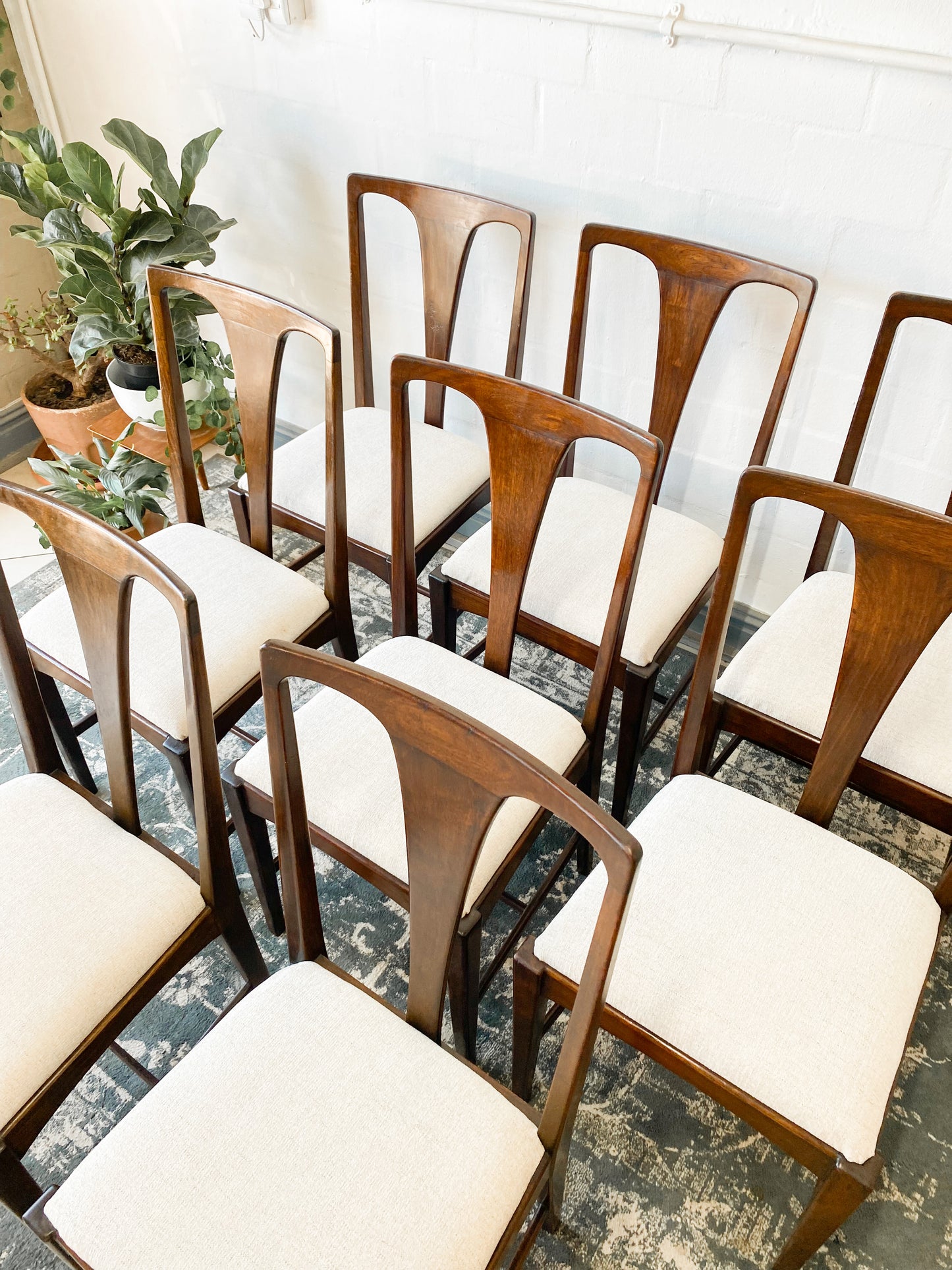 Set of 8 Mid Century Dining Chairs