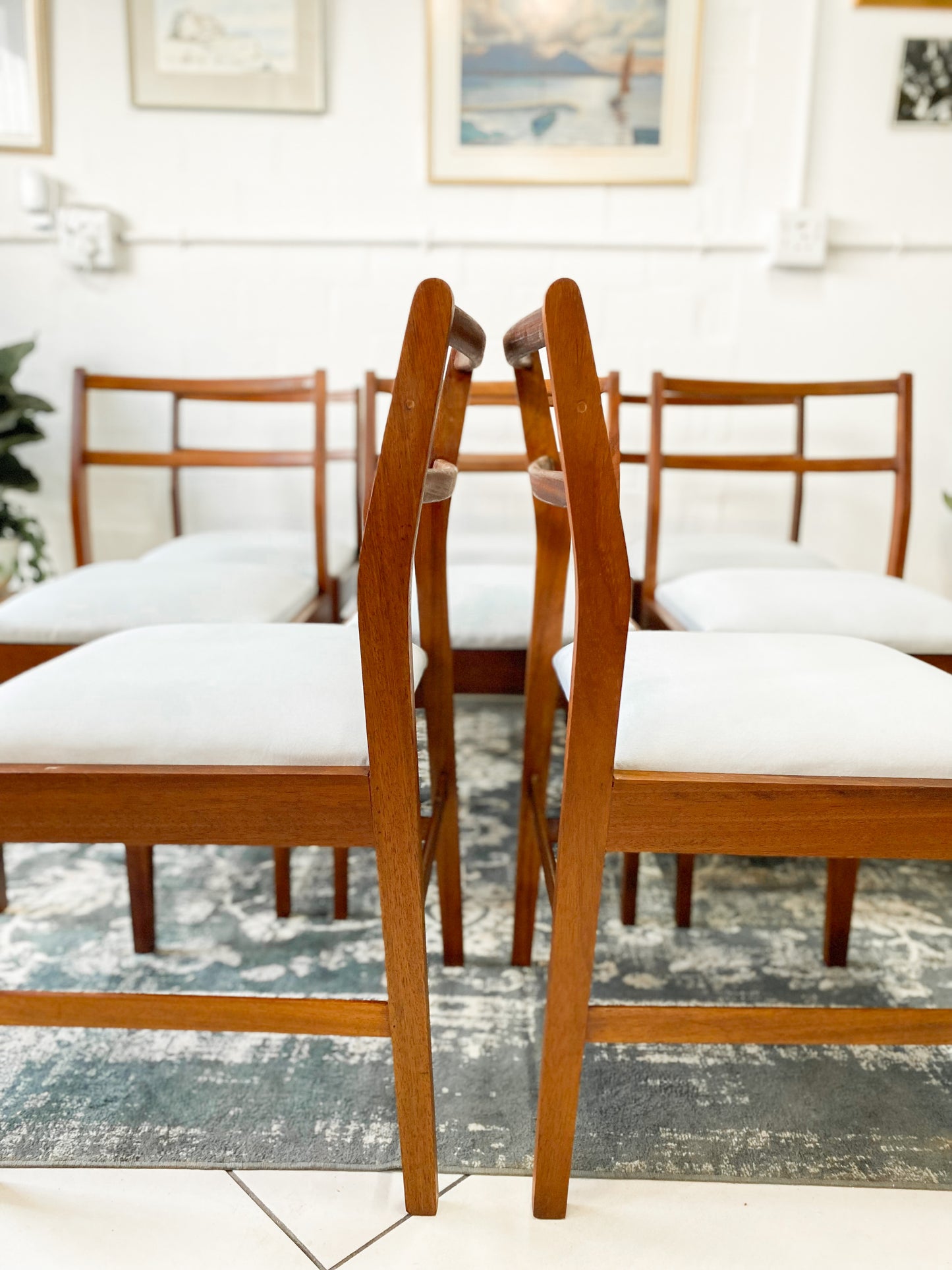 Set of 8 Mid Century Dining Chairs