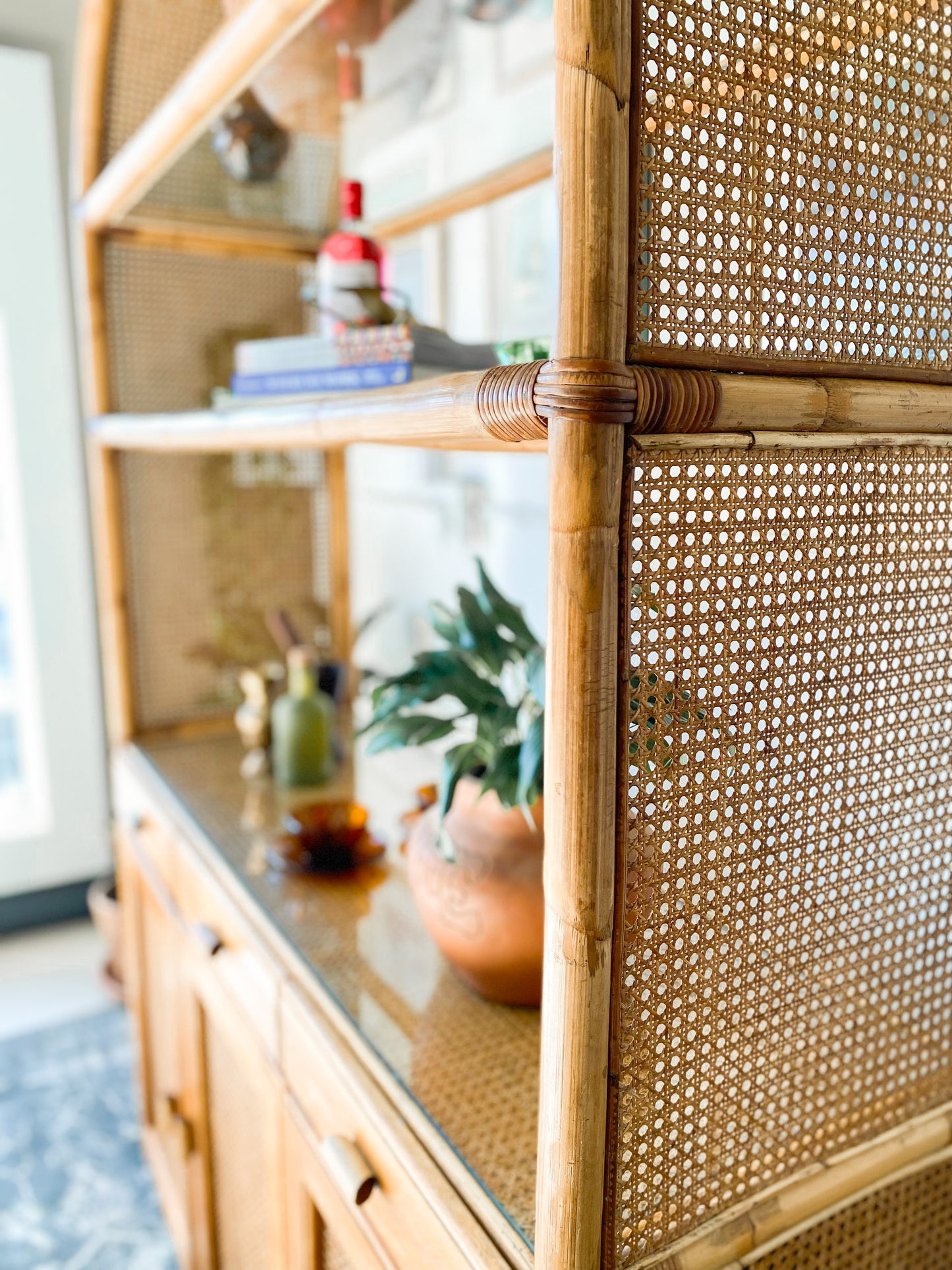 Cane Display Cabinet