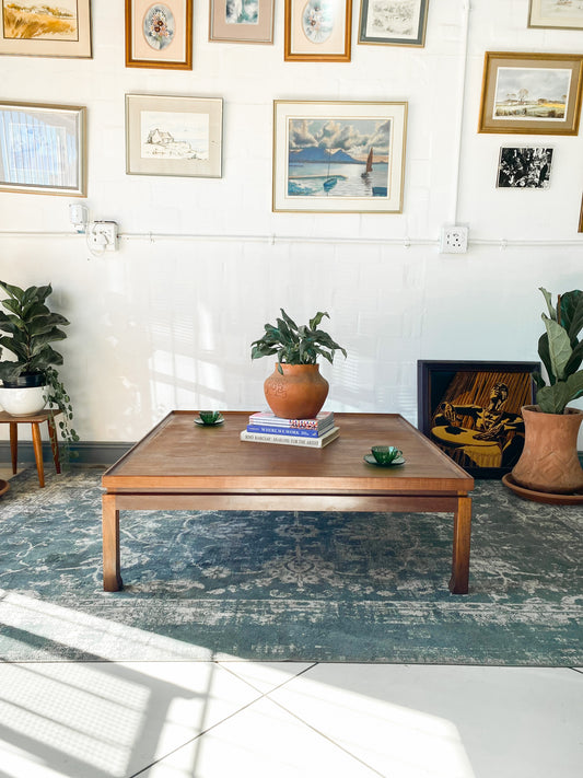 EE Meyer Coffee Table