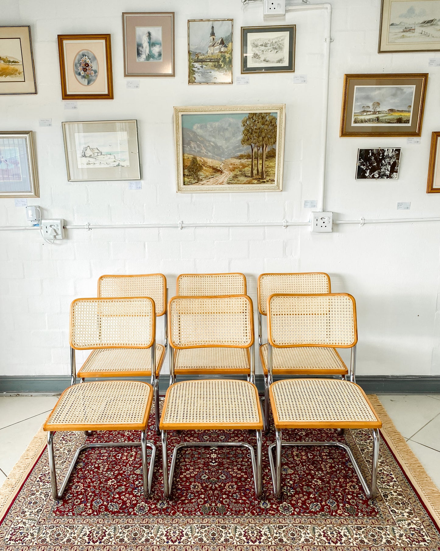 Cesca Dining Chairs