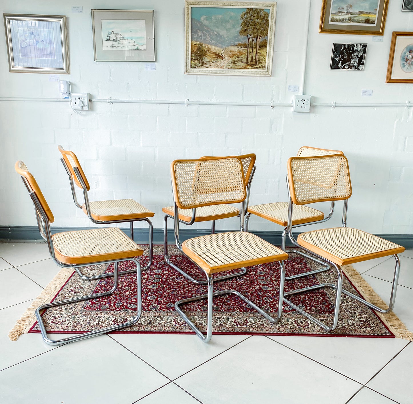 Cesca Dining Chairs