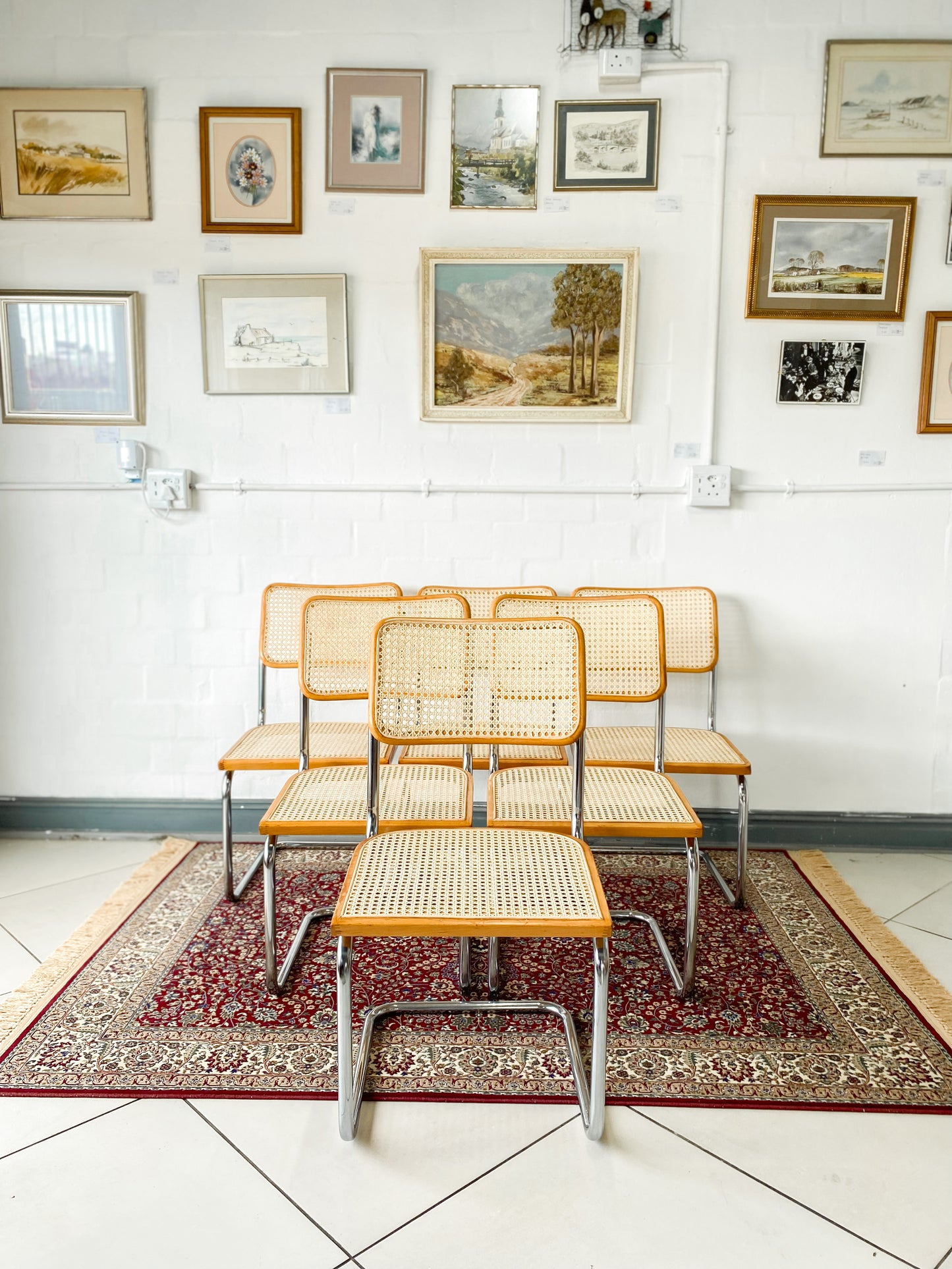 Cesca Dining Chairs