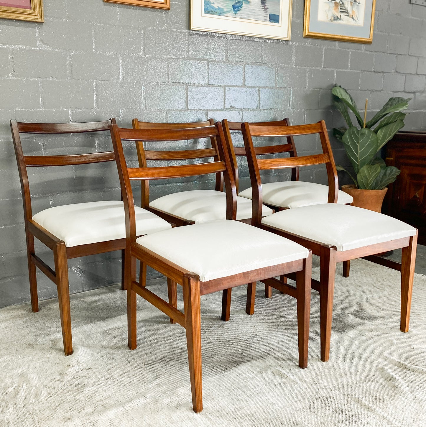 Set of 5 Mid Century Dining Chairs
