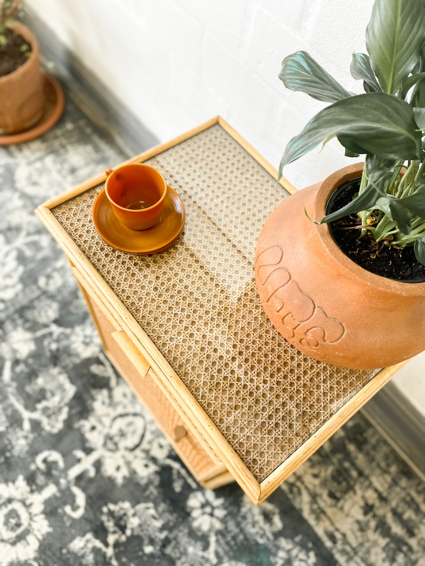 Single Cane Pedestal