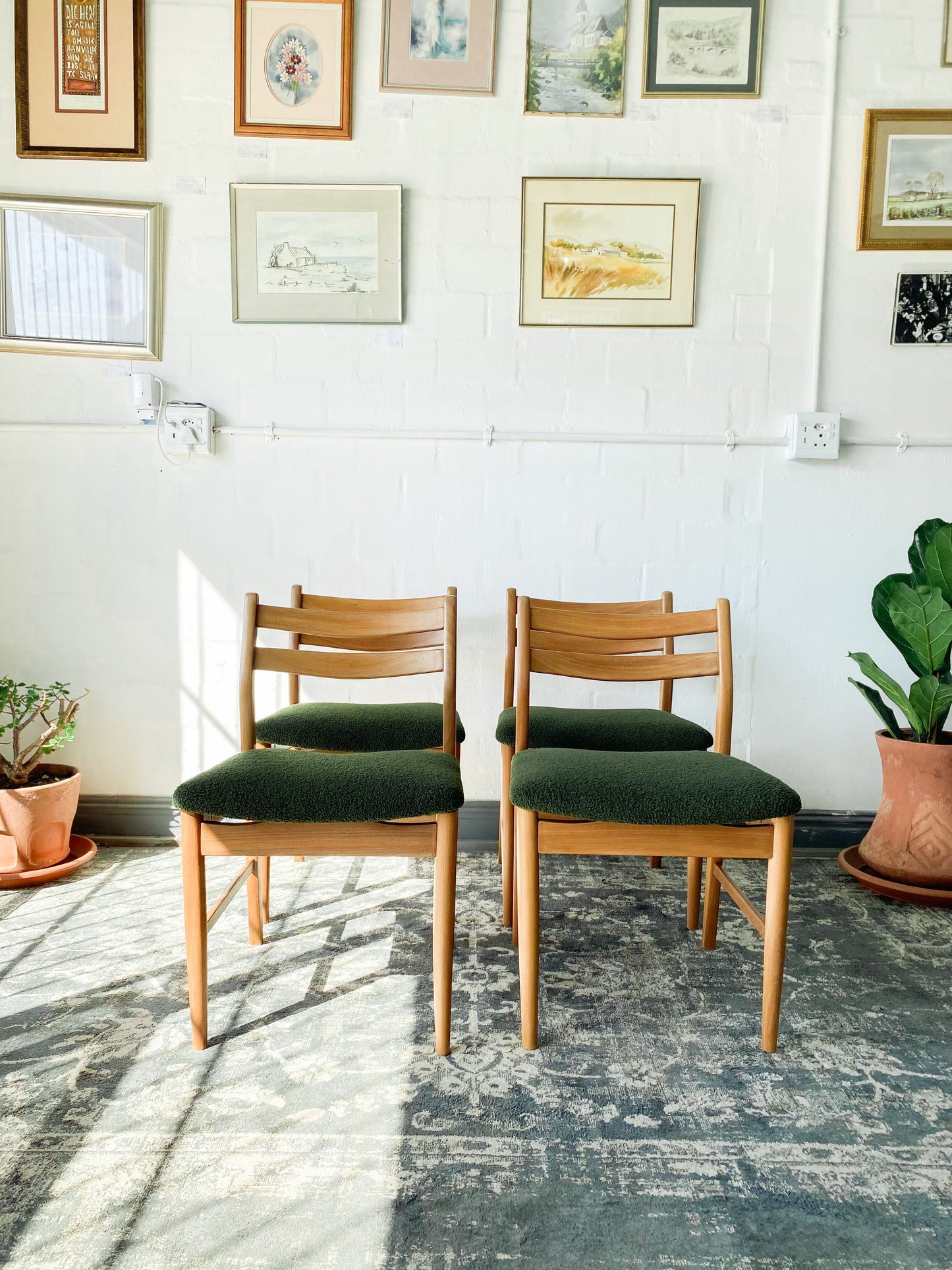 Mid-Century Dining Chairs