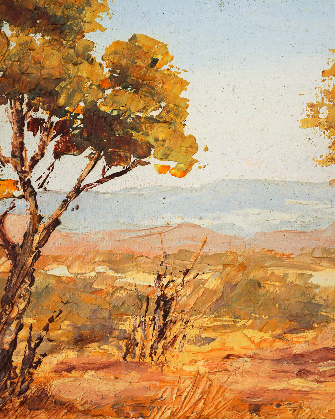 Beautiful Landscape Oil Painting by Annette Barnard