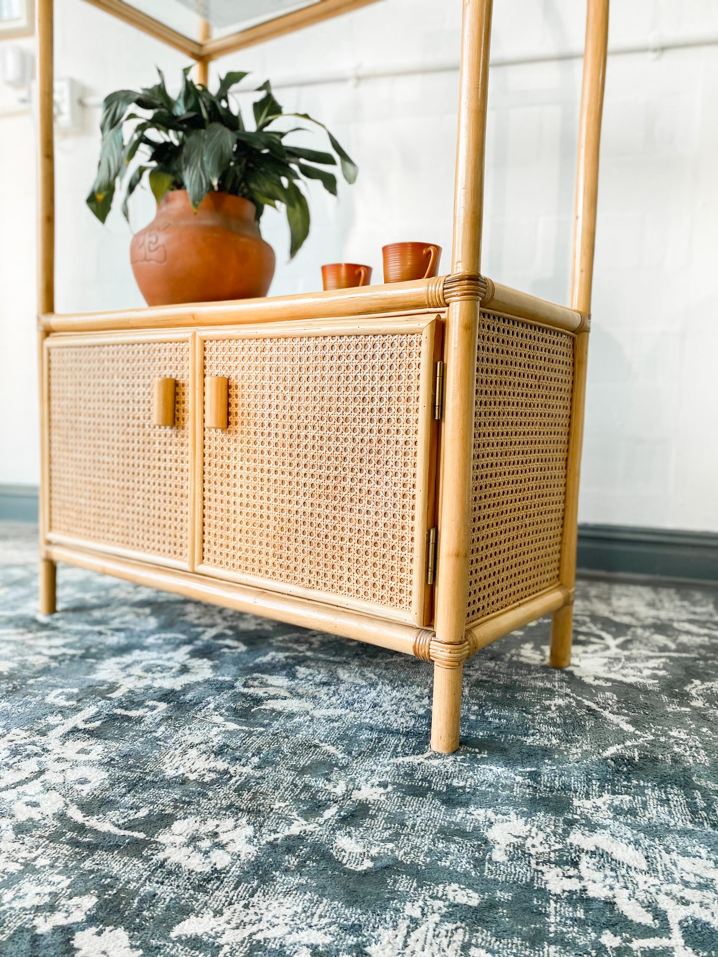 Cane Display Shelf
