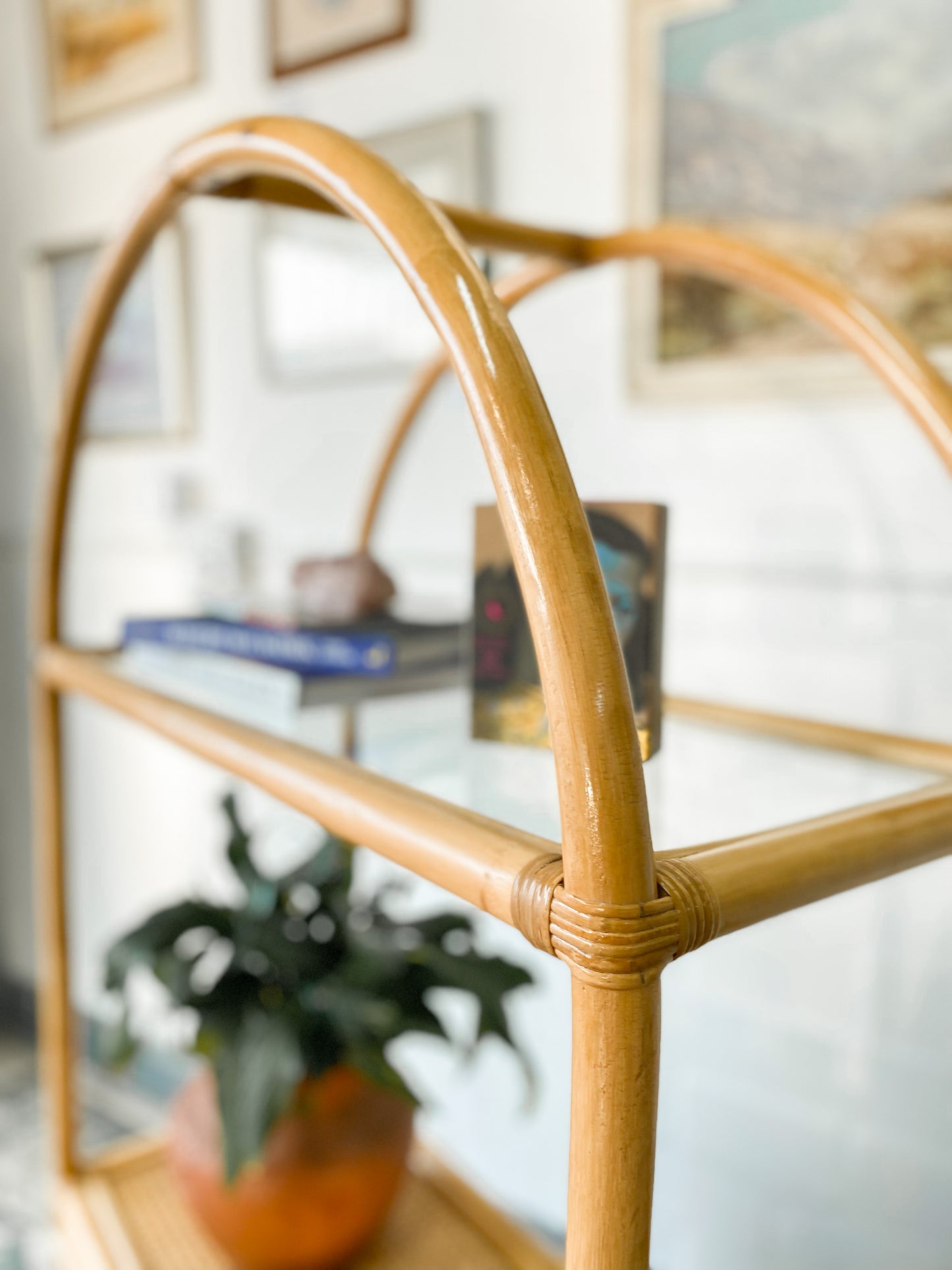Cane Display Shelf