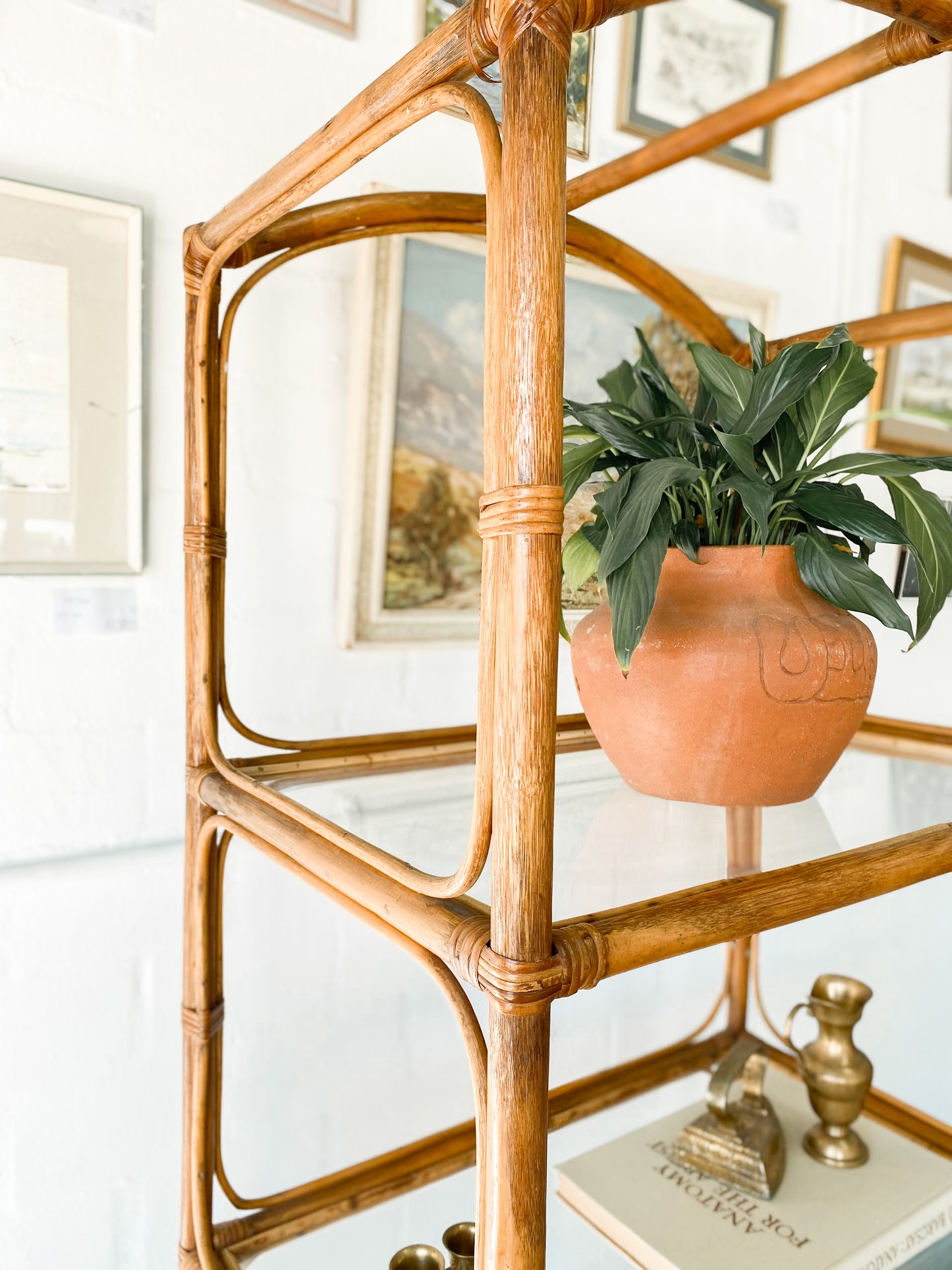 Cane Display Shelf