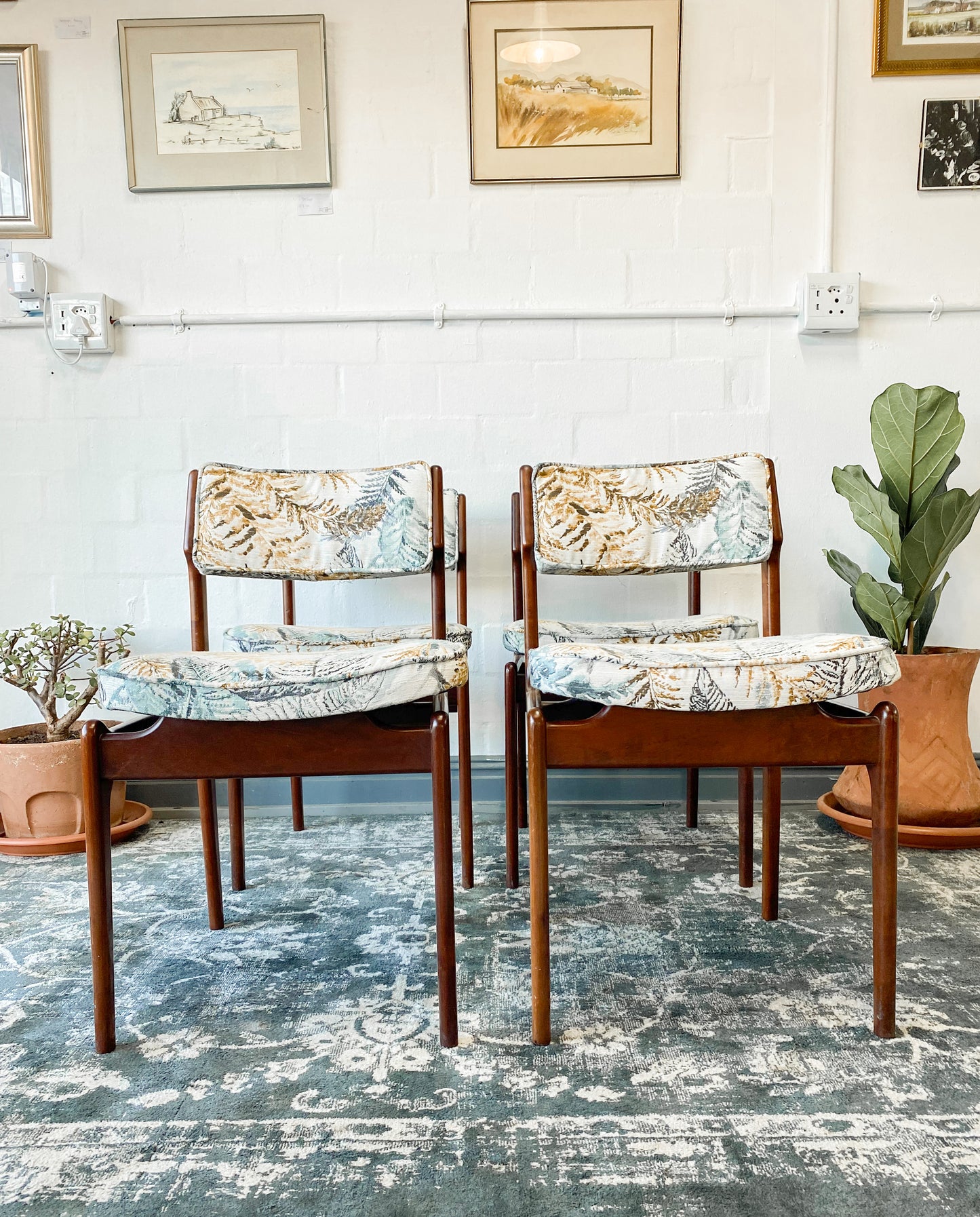 4 EE Meyer Dining Chairs for Binnehuis