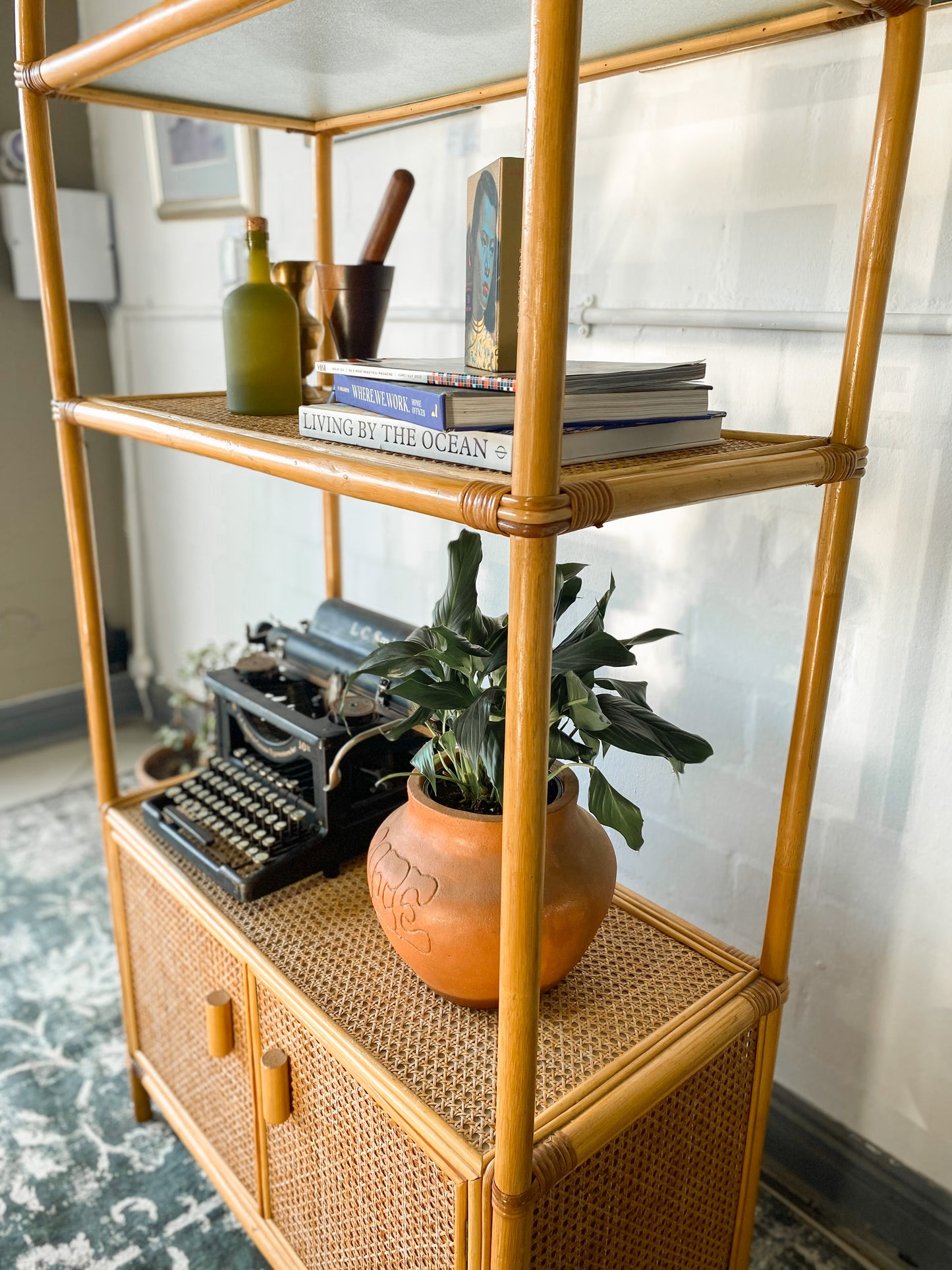 Cane Display Shelf