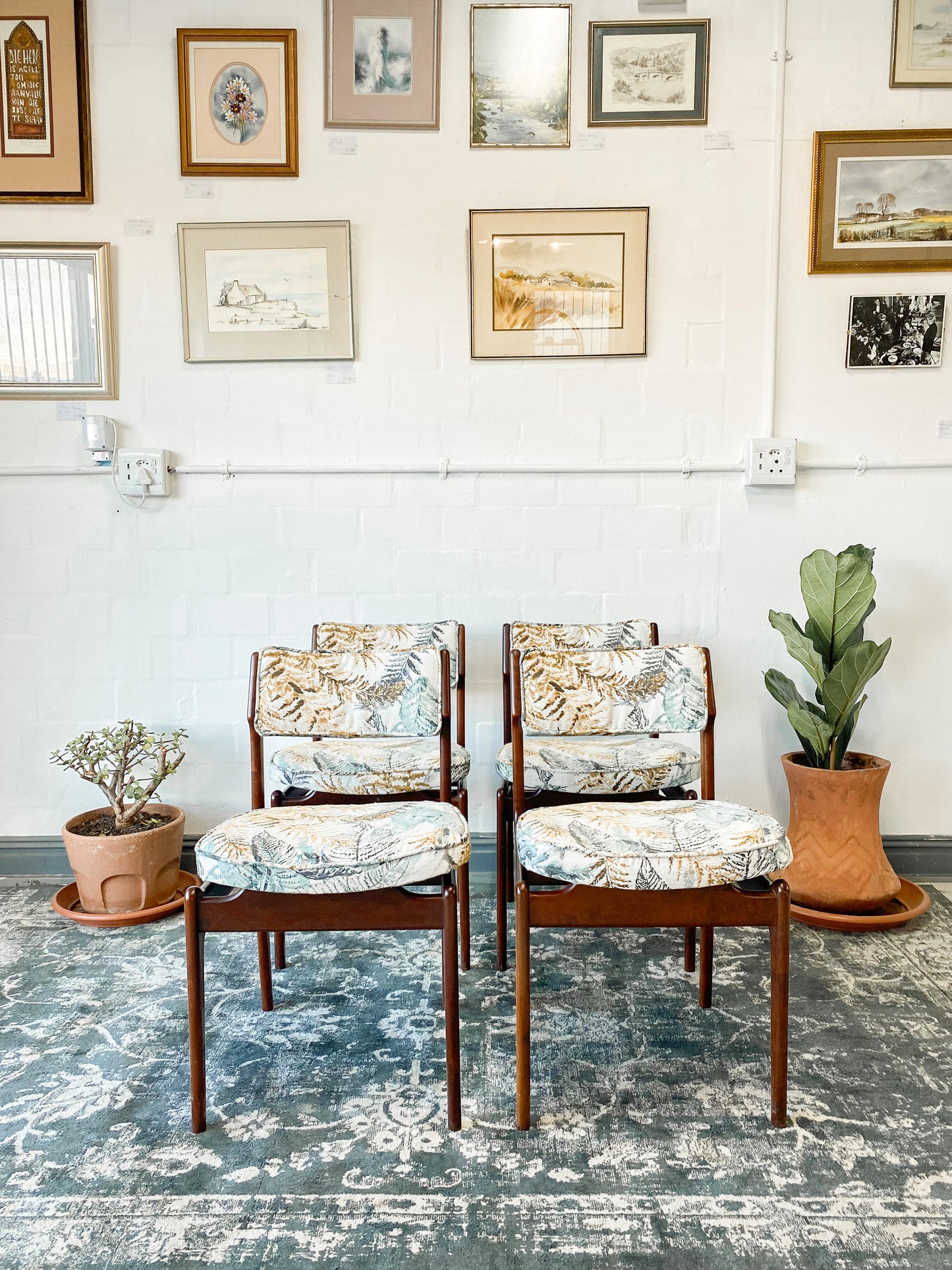 4 EE Meyer Dining Chairs for Binnehuis