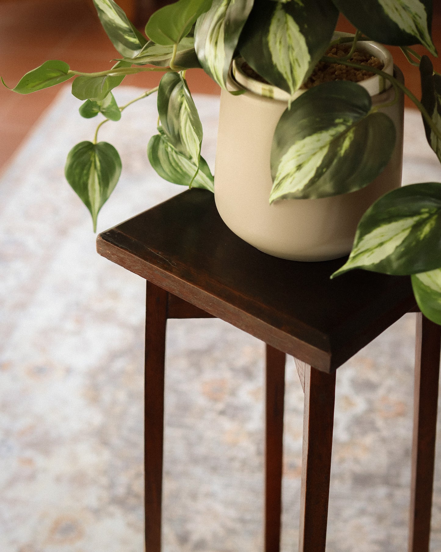 Retro Plant Stand