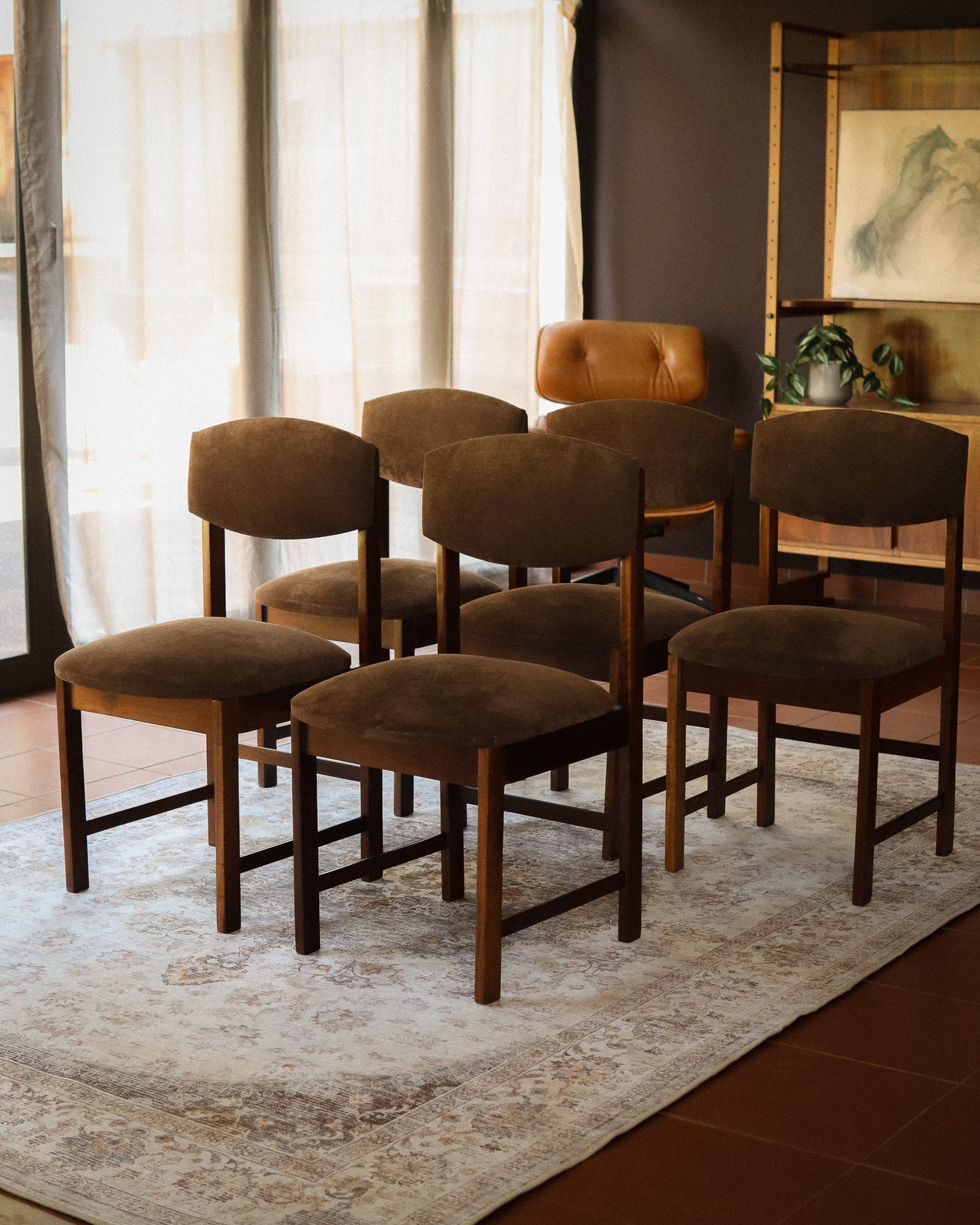 Set of 5 Retro Dining Chairs