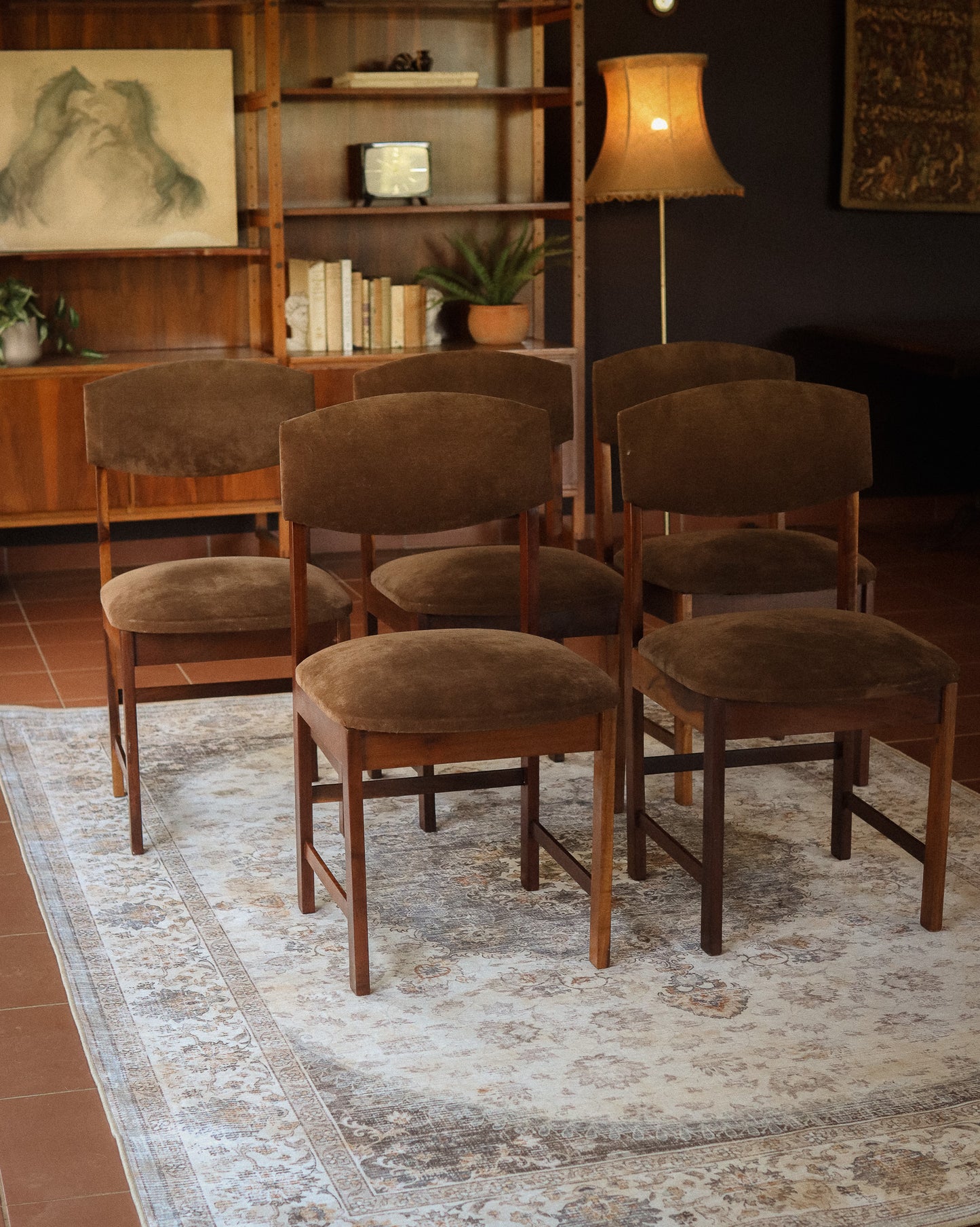 Set of 5 Retro Dining Chairs