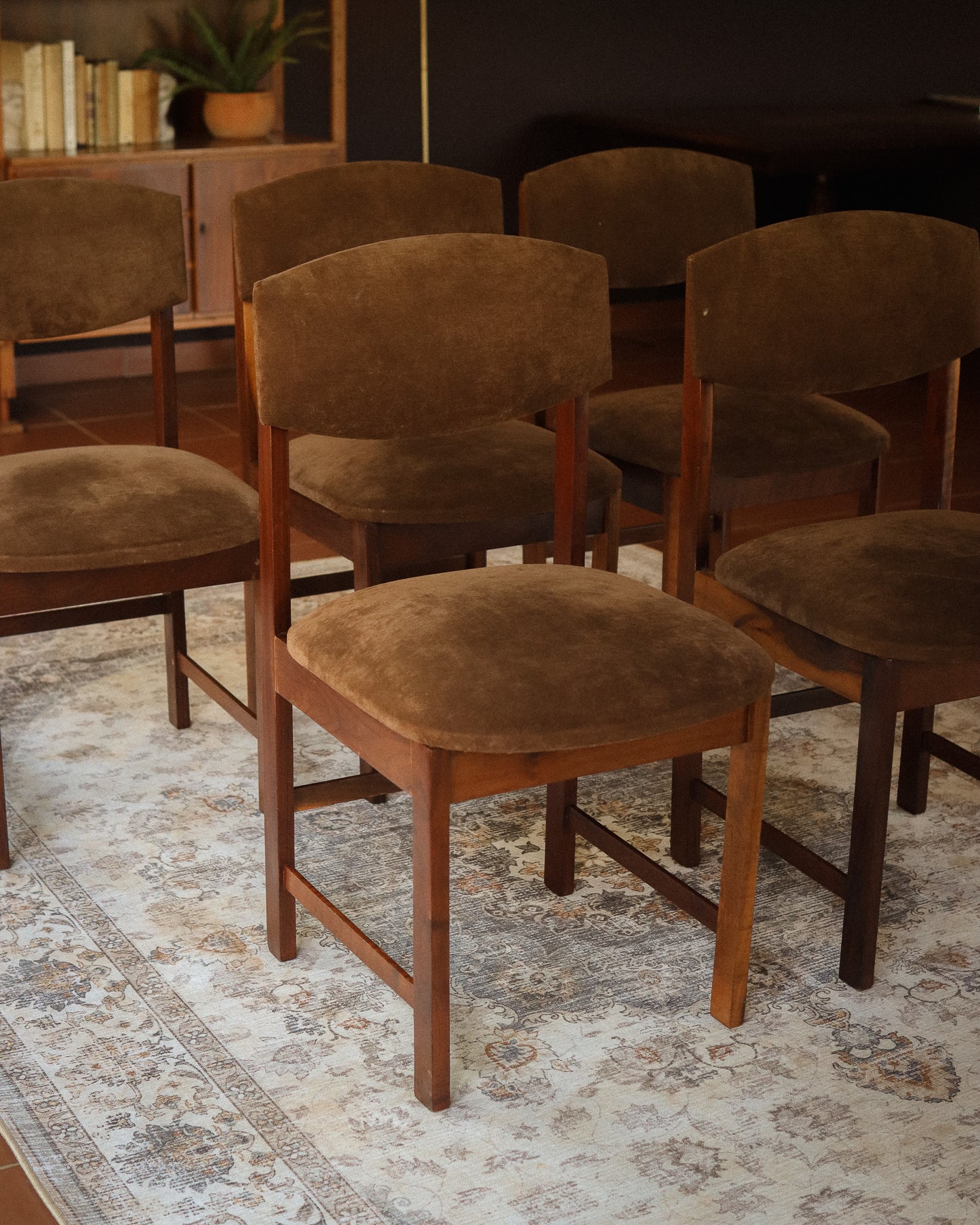 Set of 5 Retro Dining Chairs