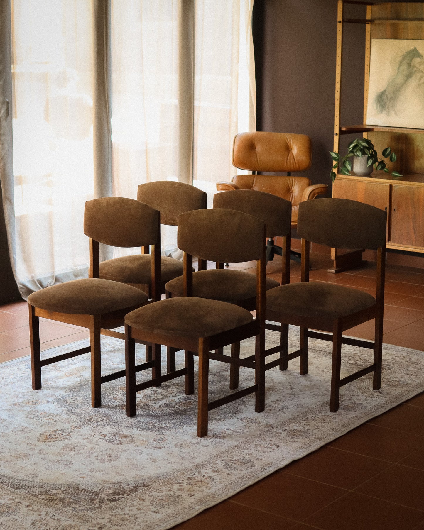 Set of 5 Retro Dining Chairs