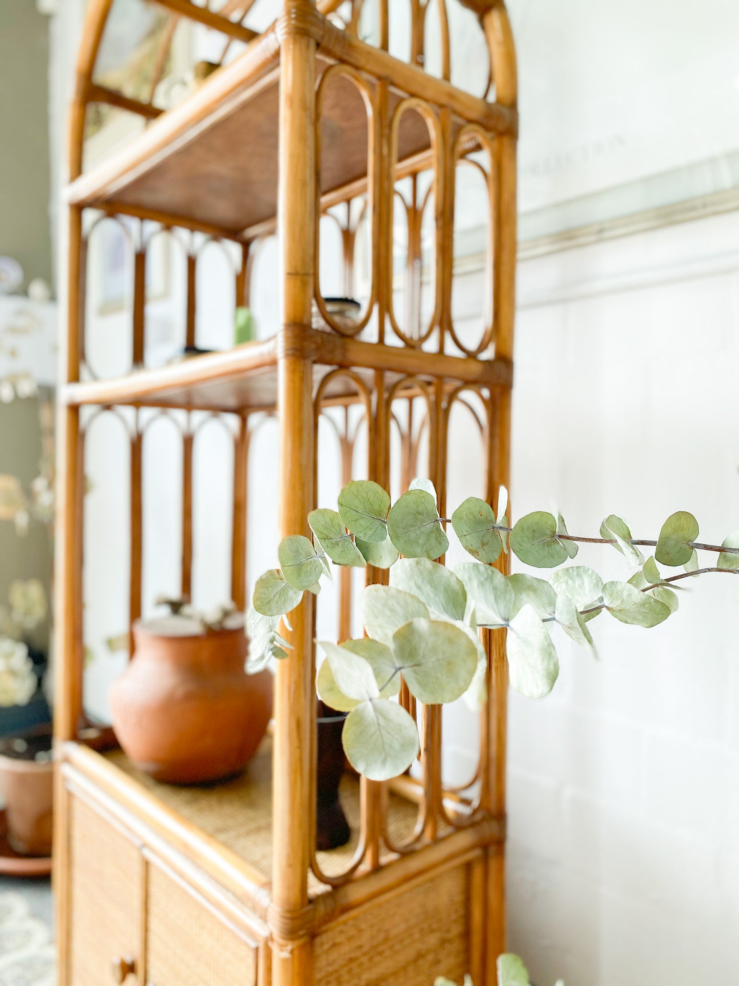 Cane Display Unit