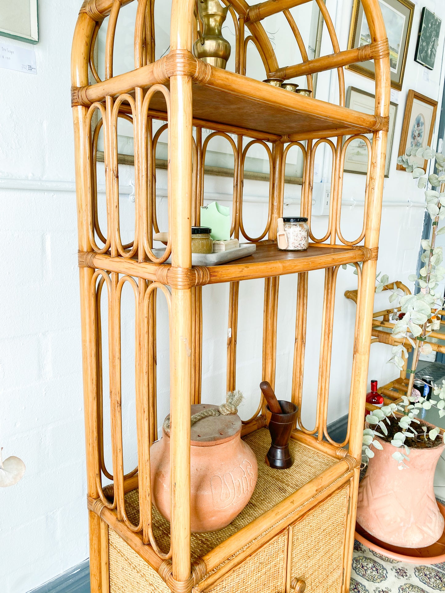 Cane Display Unit