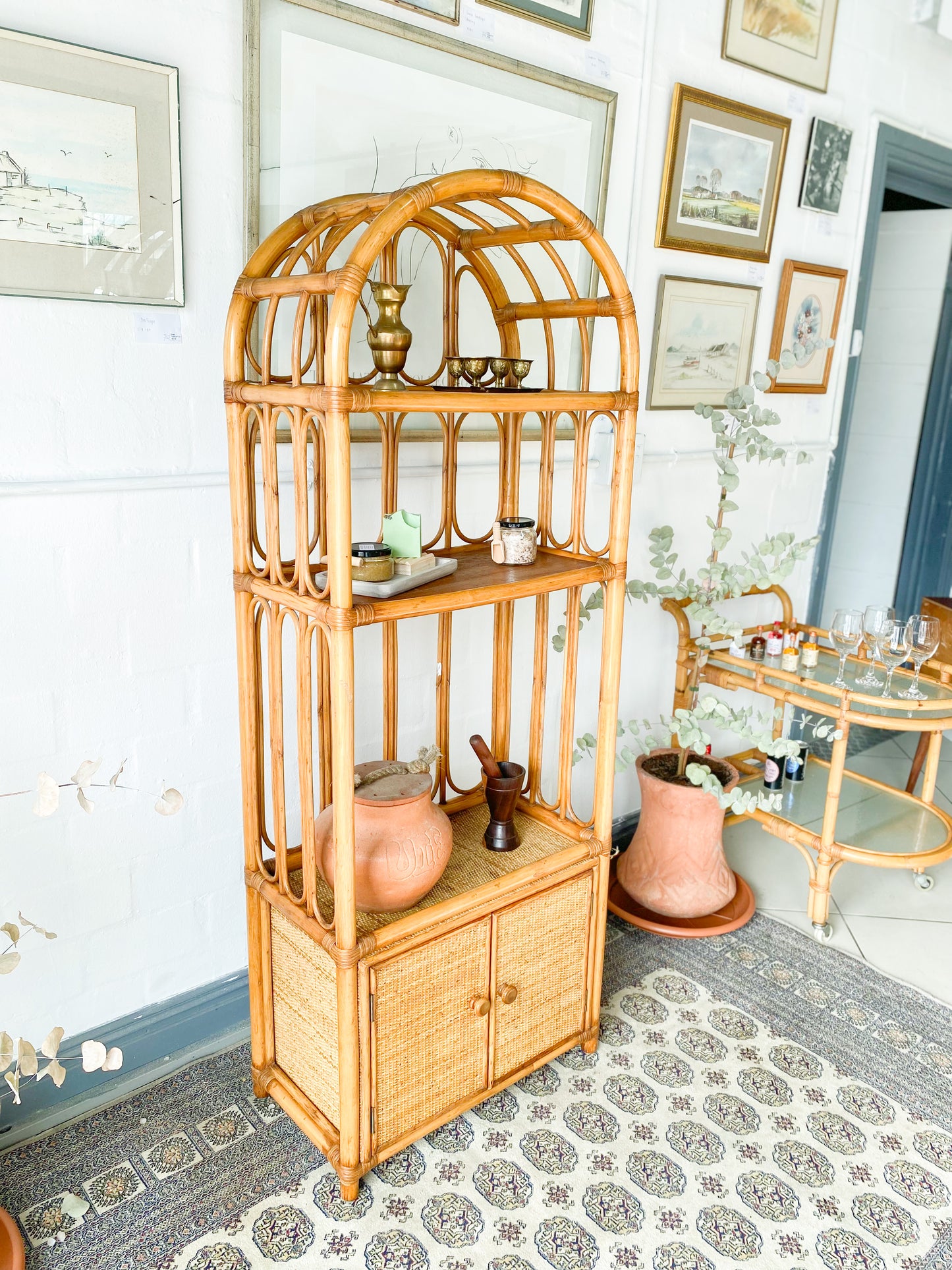 Cane Display Unit