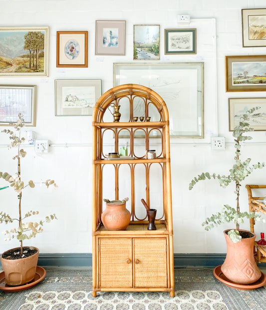 Cane Display Unit