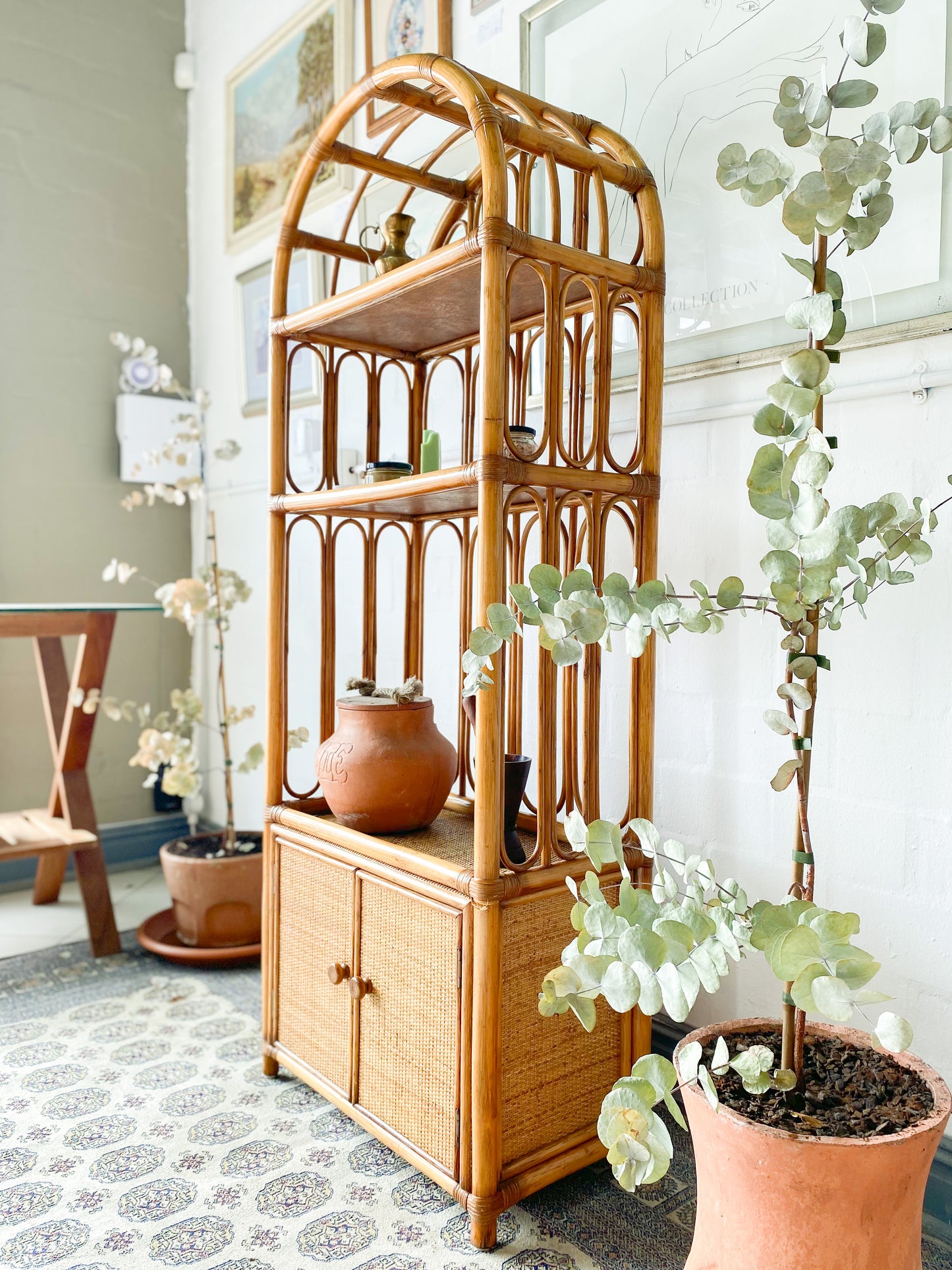Cane Display Unit