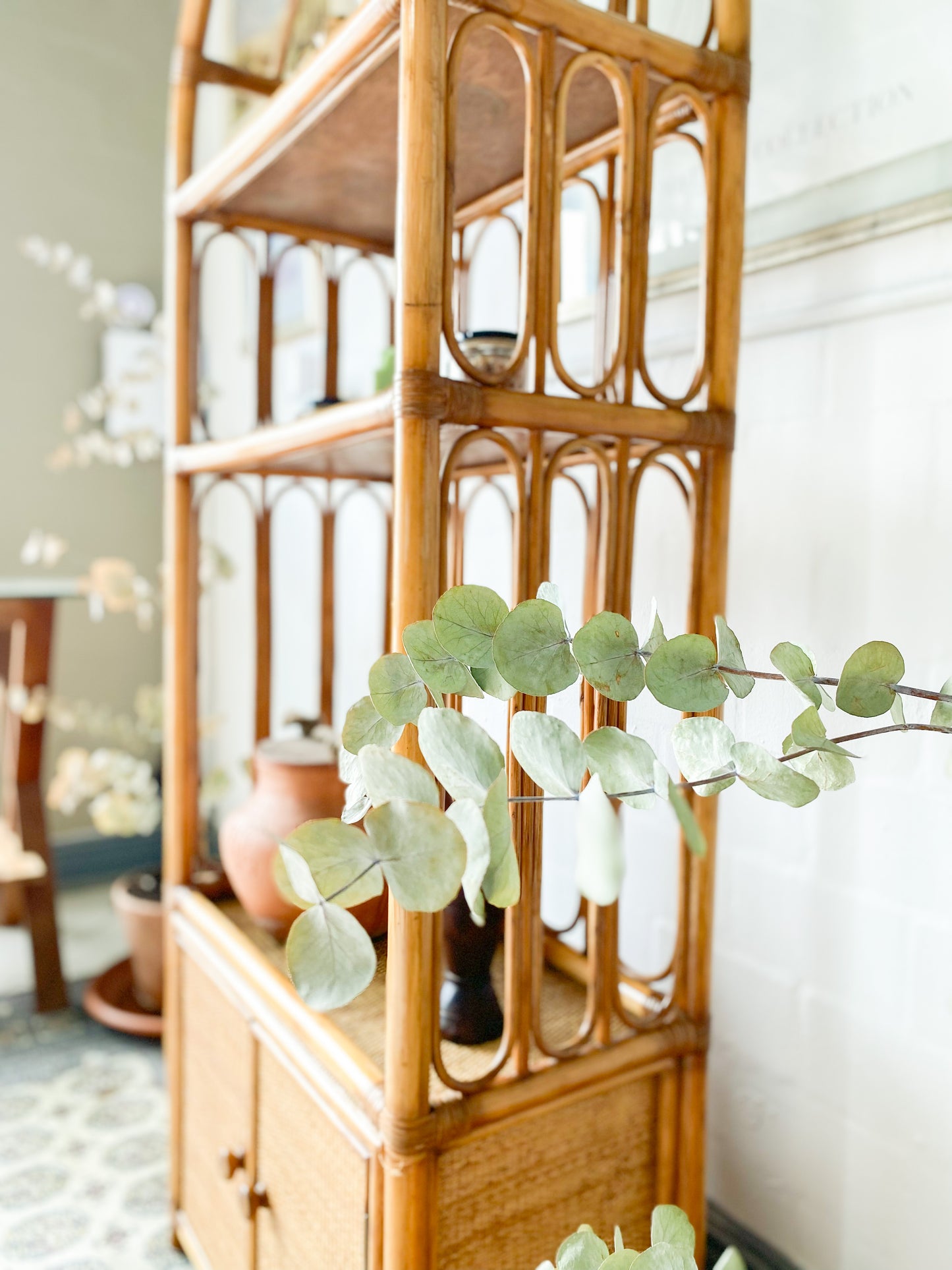 Cane Display Unit