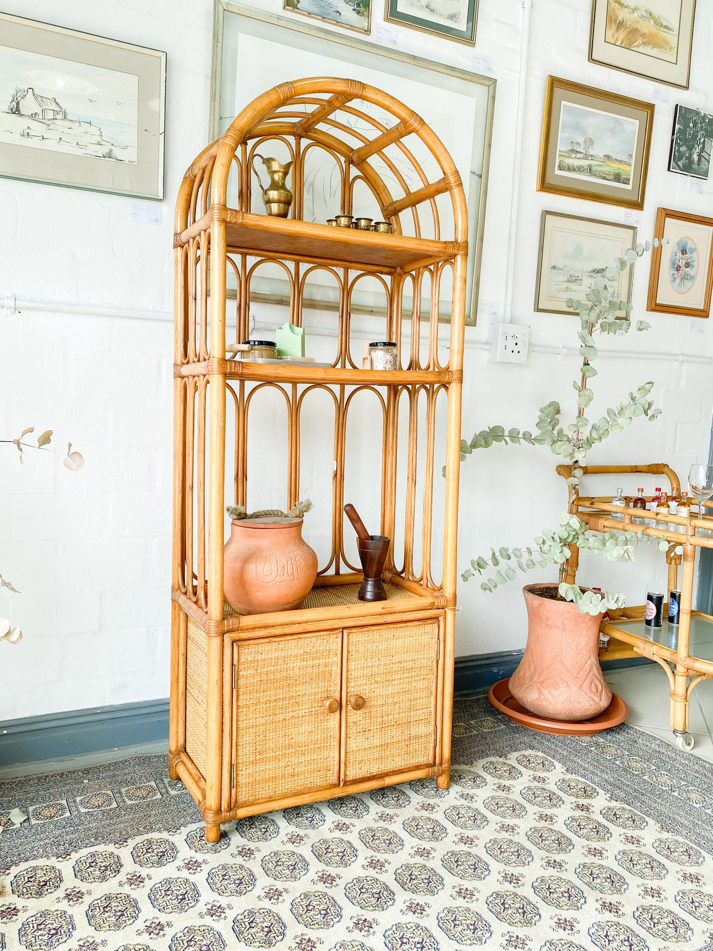 Cane Display Unit