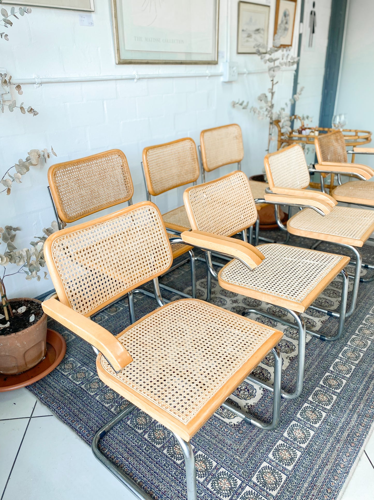 Cesca Dining Chairs