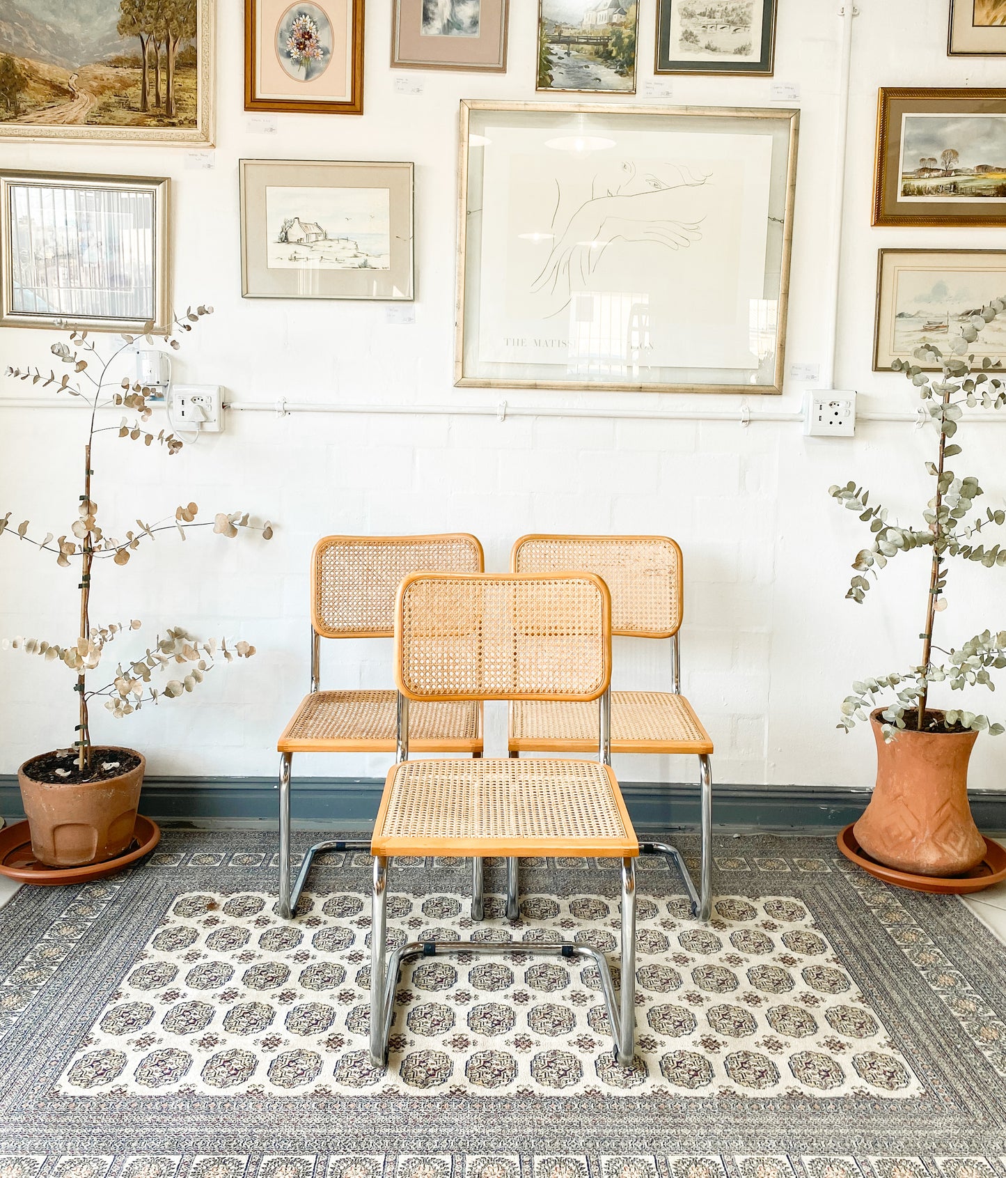 Cesca Dining Chairs