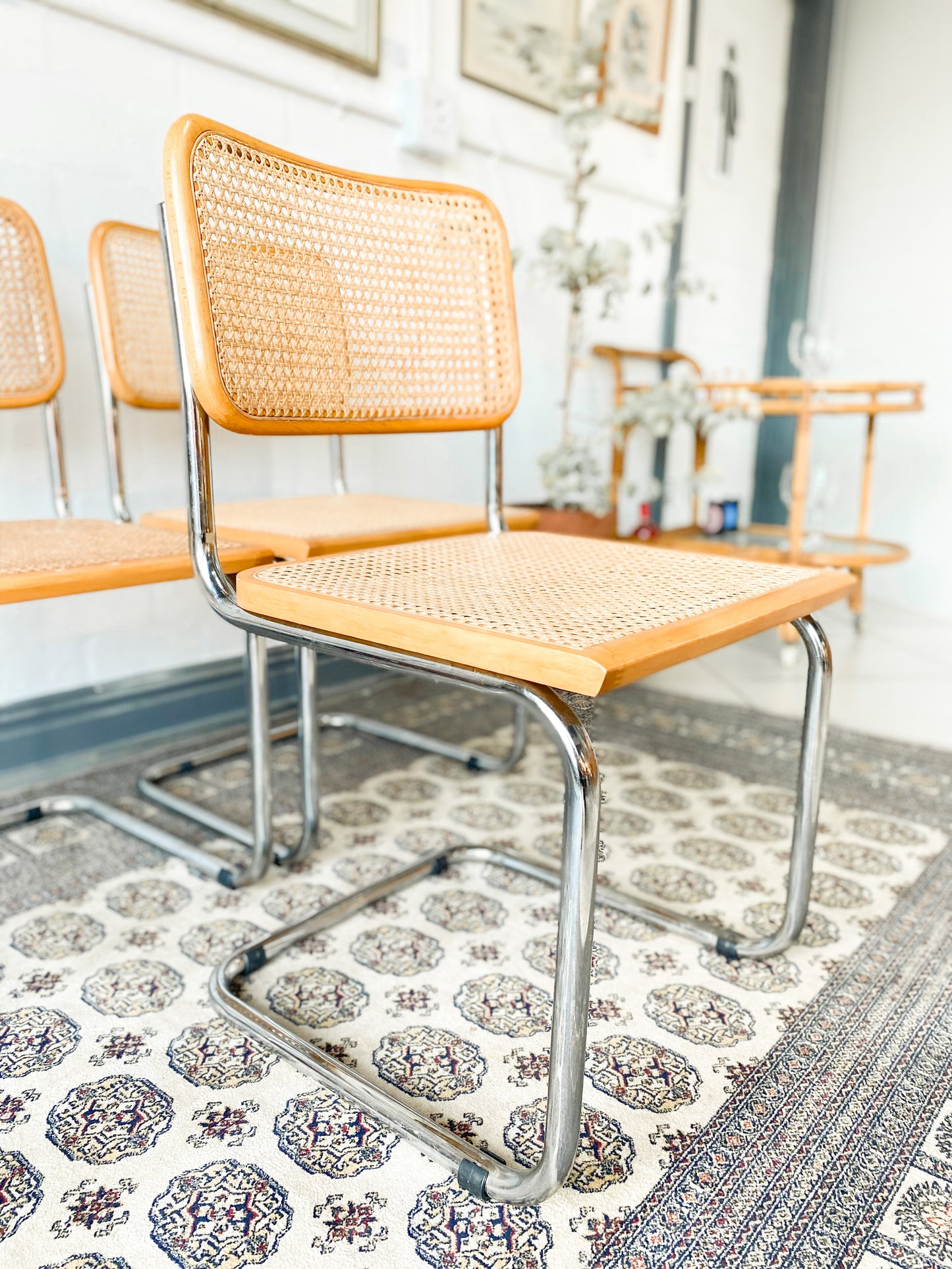 Cesca Dining Chairs