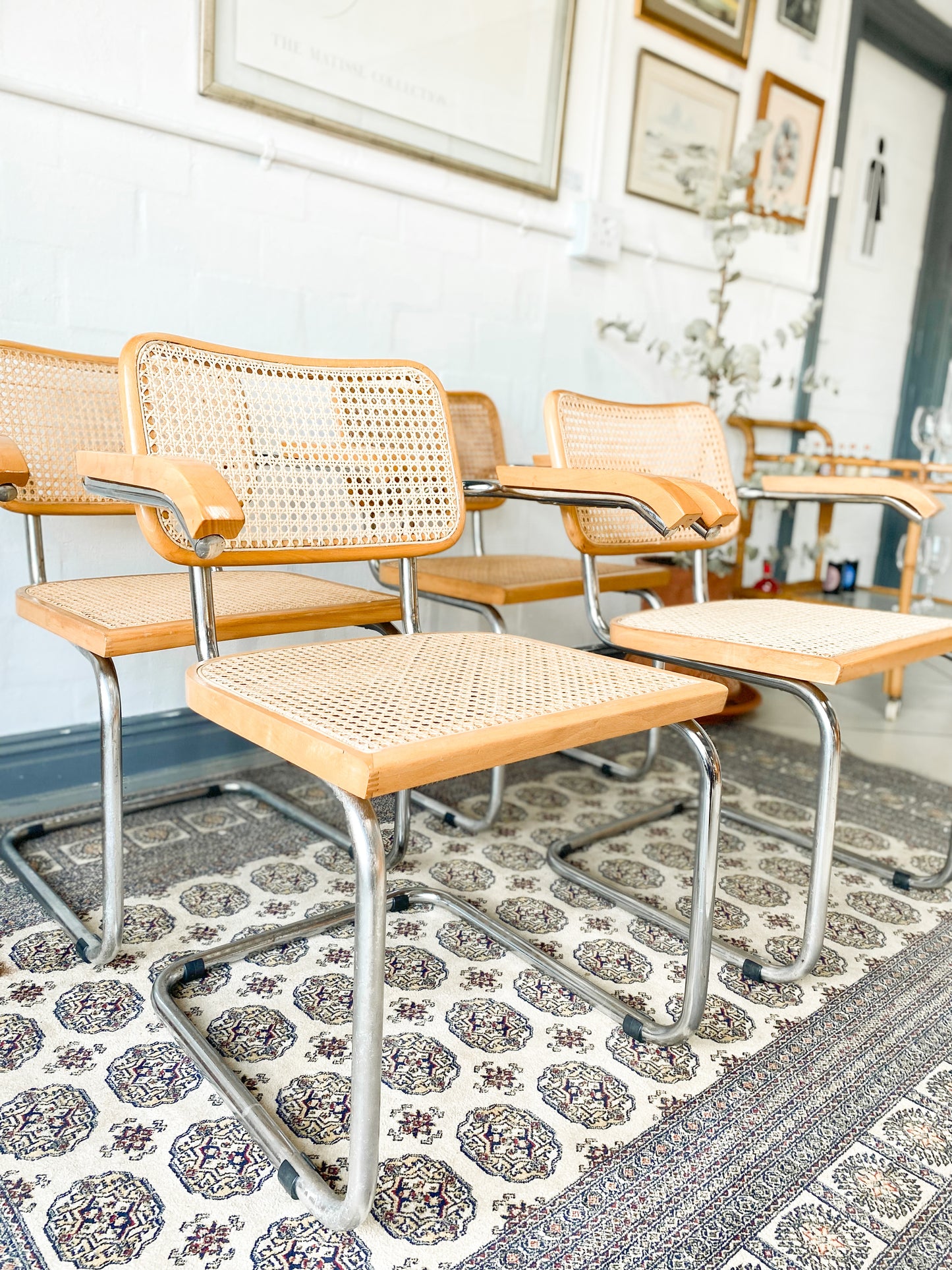 Cesca Dining Chairs