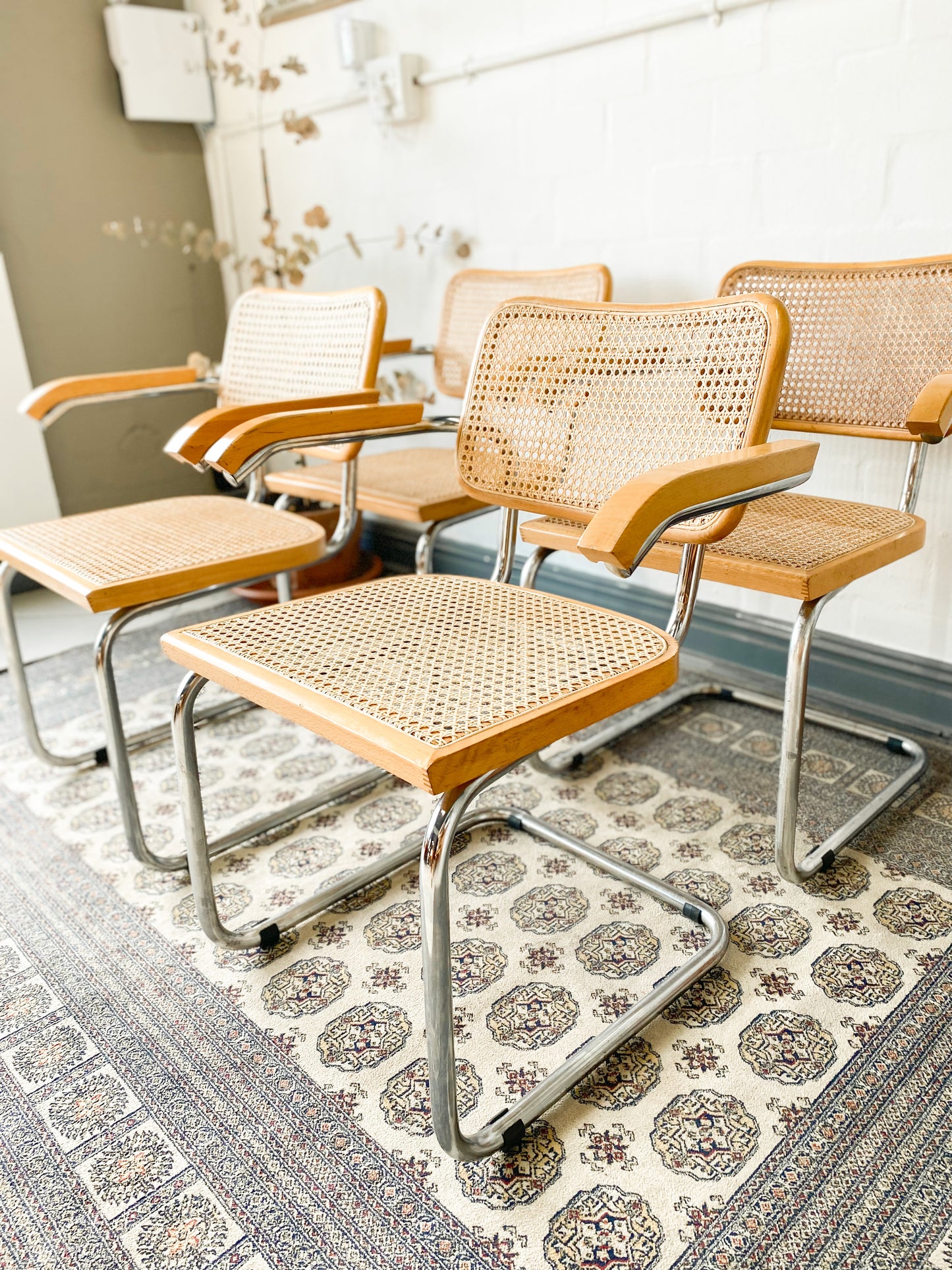 Cesca Dining Chairs