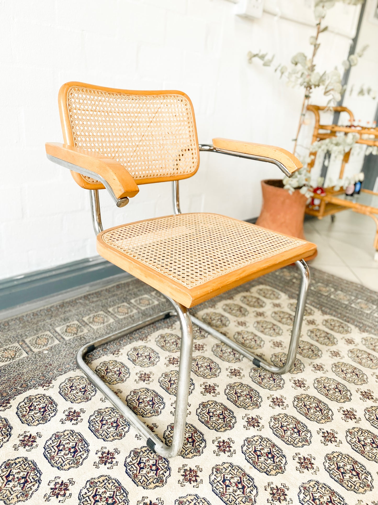 Cesca Dining Chairs