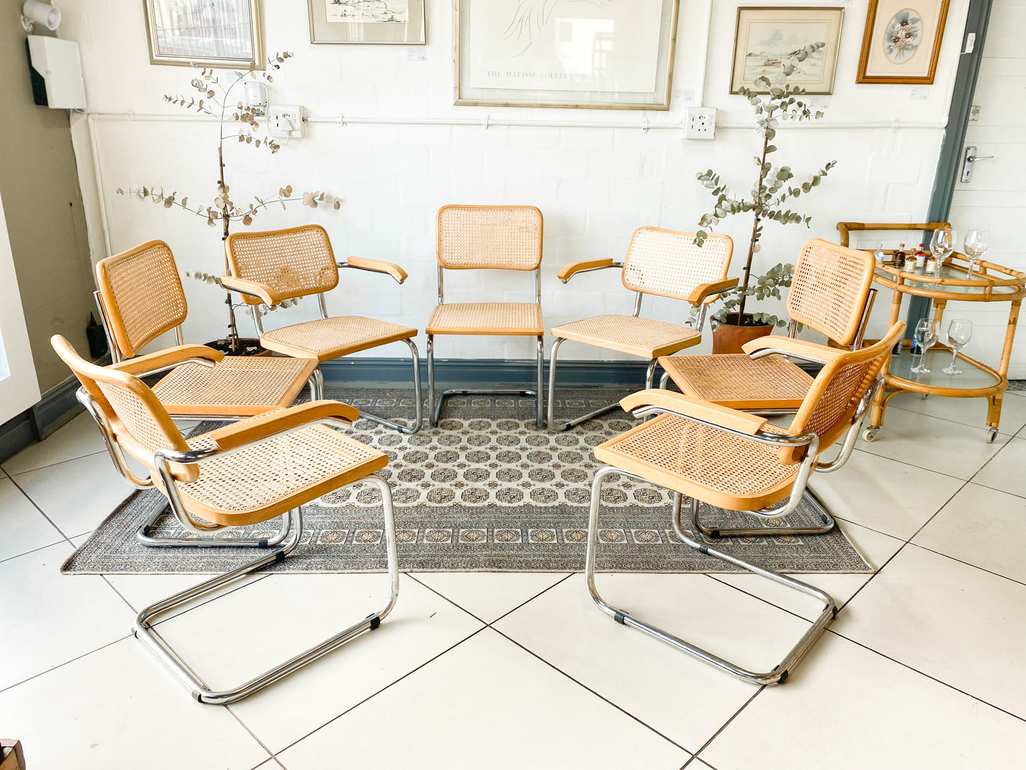 Cesca Dining Chairs