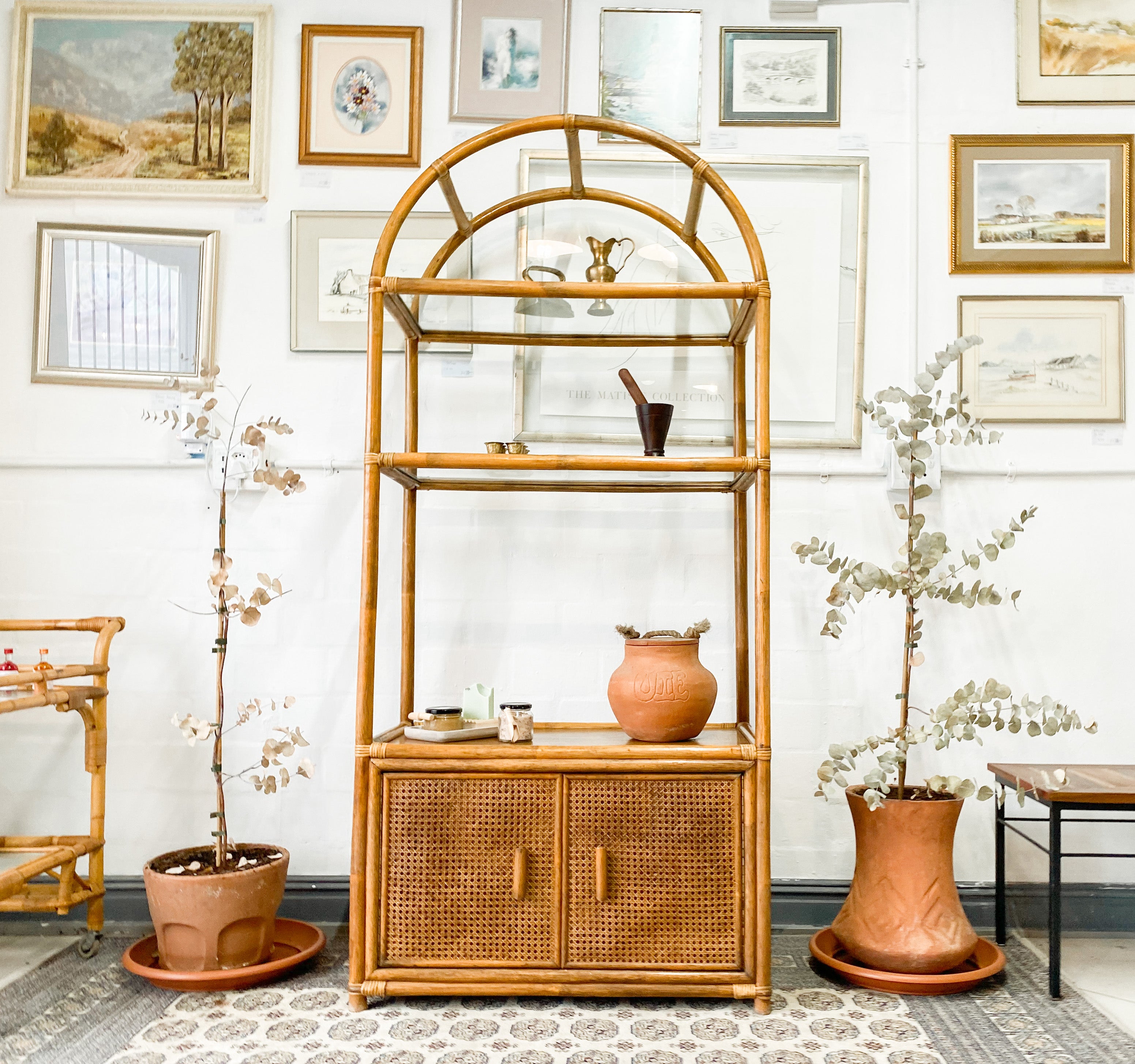 Cane Display Unit – The Thrifty Duo