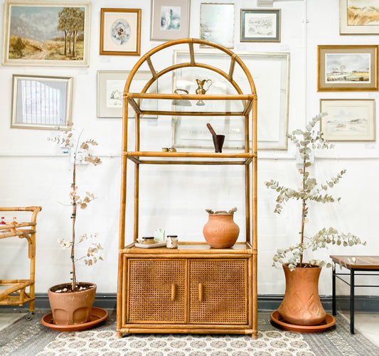 Cane Display Unit