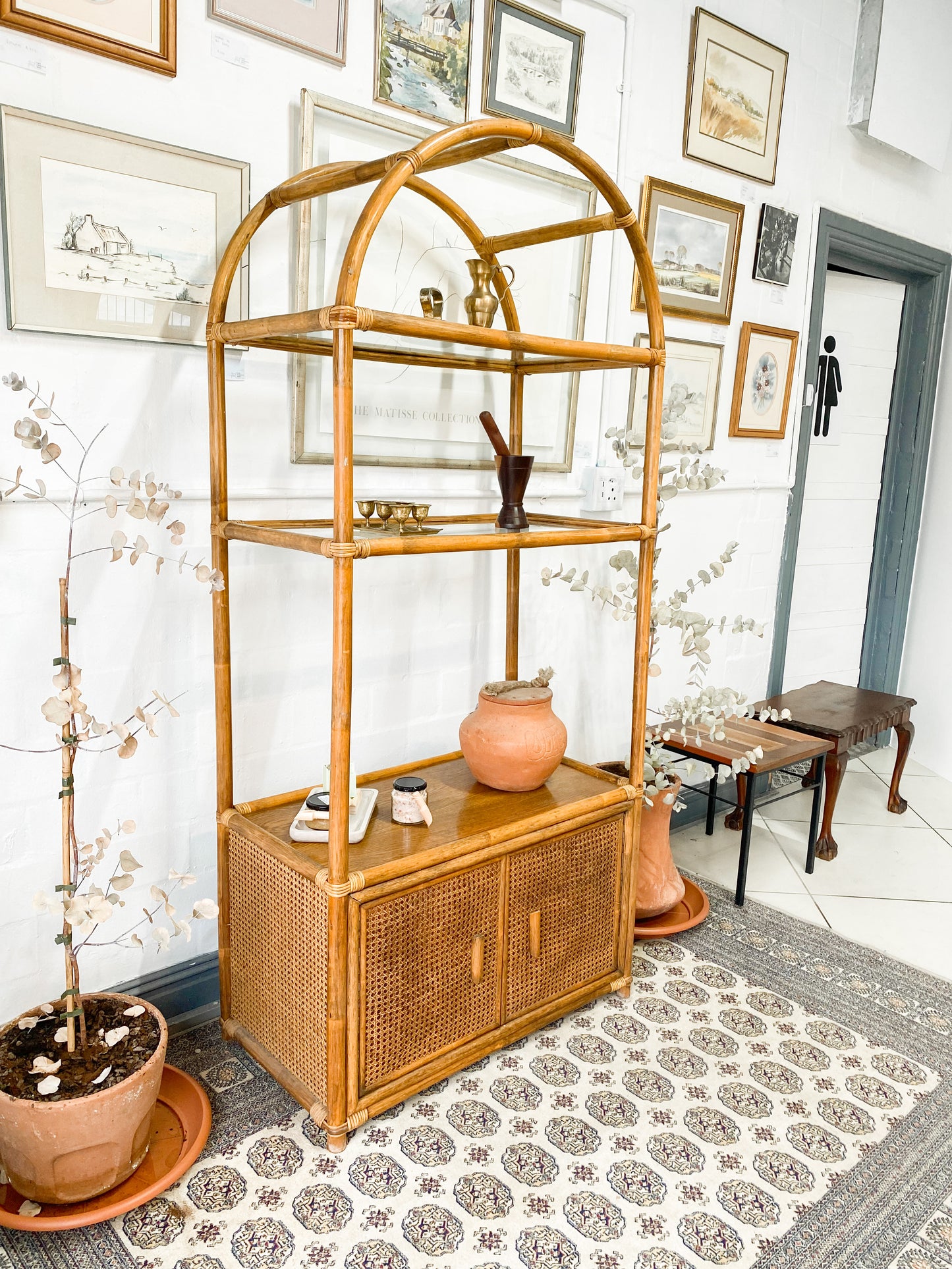 Cane Display Unit