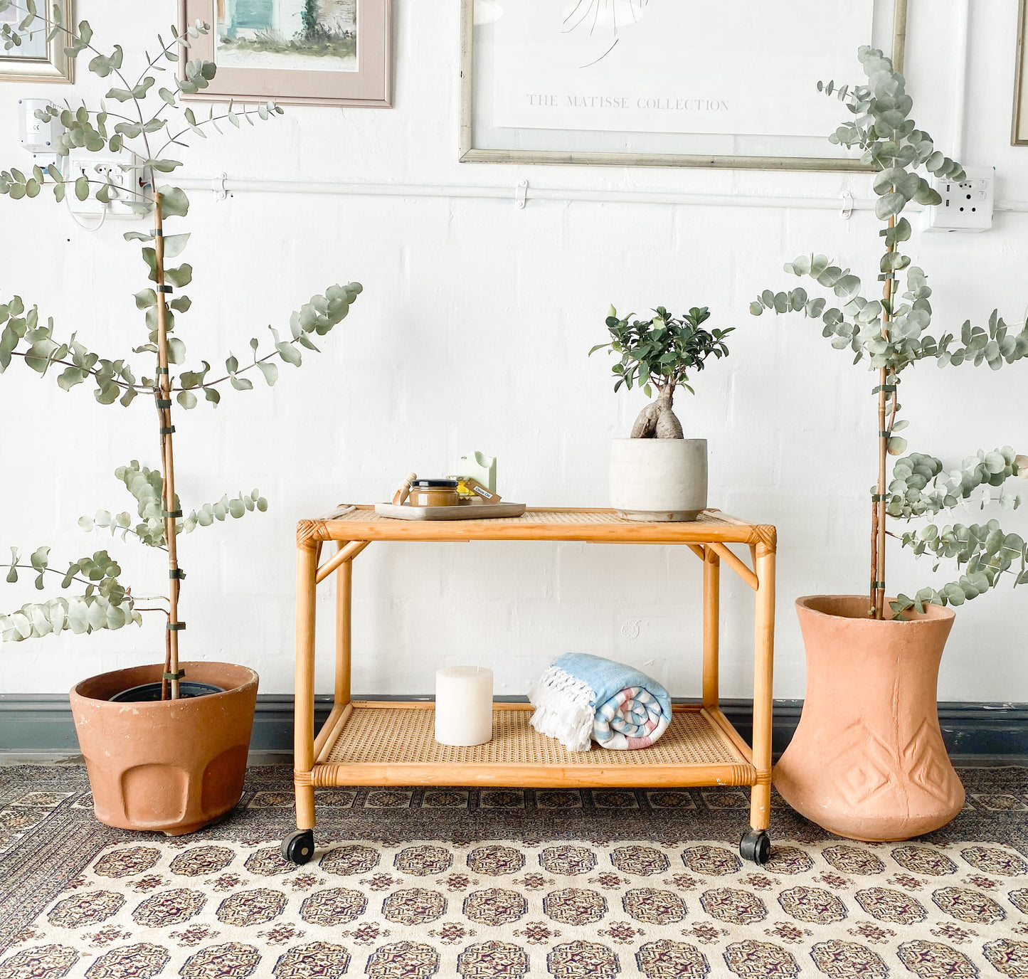 Cane Drinks Trolley