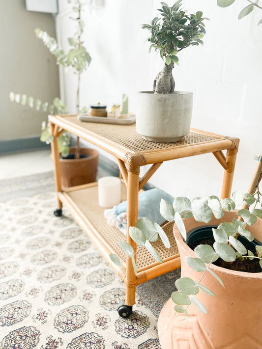 Cane Drinks Trolley